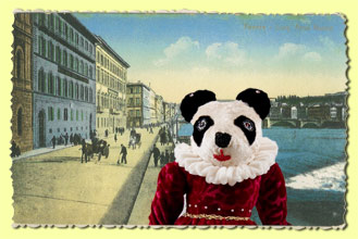 Toad's World Panda Bear Postcard